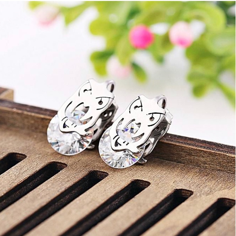 NWT Stainless steel owl silver earrings 🦉